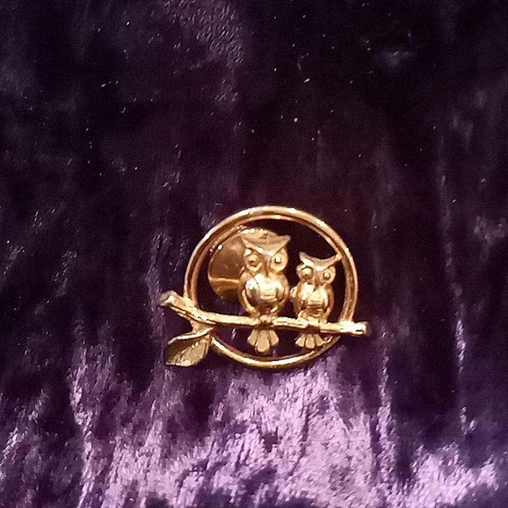 Vintage Avon gold perched owl pin
